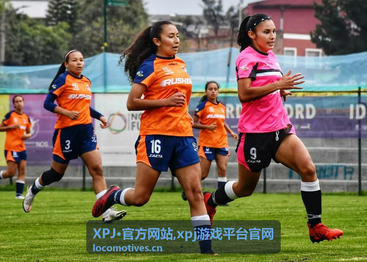 XPJ·官方网站 xpj游戏平台官网入口封面