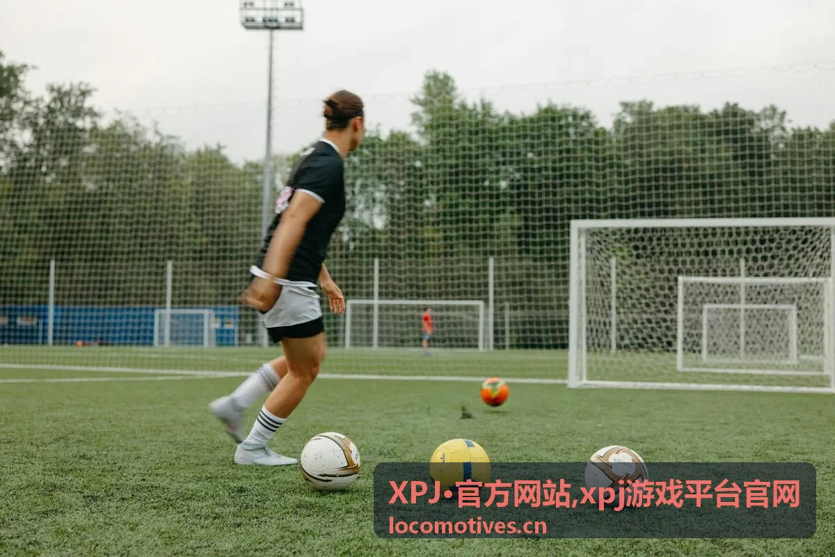 XPJ·官方网站 分类导航与入口说明