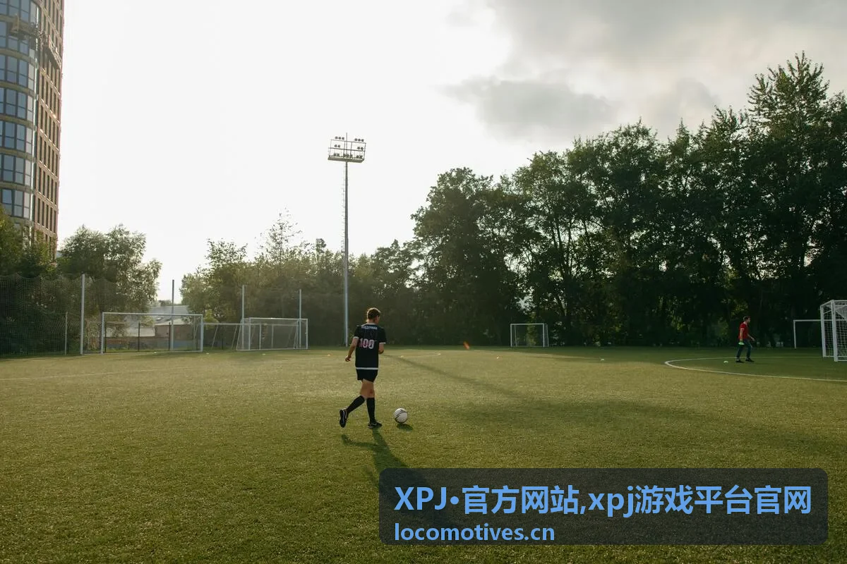 XPJ·官方网站移动端浏览指南